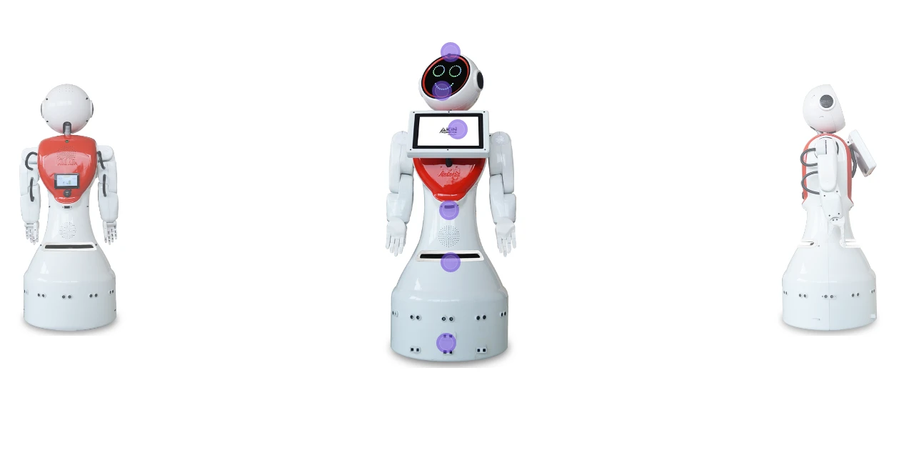 Dans ediyor, ürün tanıtıyor, 4 dil biliyor! Yerli robot Mini Ada 162 bin liradan satışa çıktı